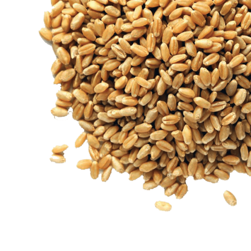  Пшеница, 1кг, Добрый след