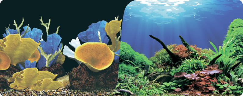  Фон Prime 30х60см, двухсторонний, Морские кораллы/Подводный мир