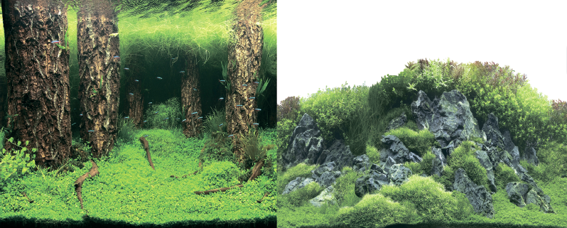  Фон Prime 30х60см, двухсторонний, Затопленный лес/Камни с растениями