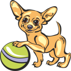 Заказать онлайн товары категории Собаки в интернет-магазине зоотоваров «Миллион друзей» с доставкой по всему Дальнему Востоку и России недорого.
