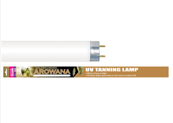  Лампа Arcadia Golden Crown Arovana, Т8, UV, 36W, 120см 