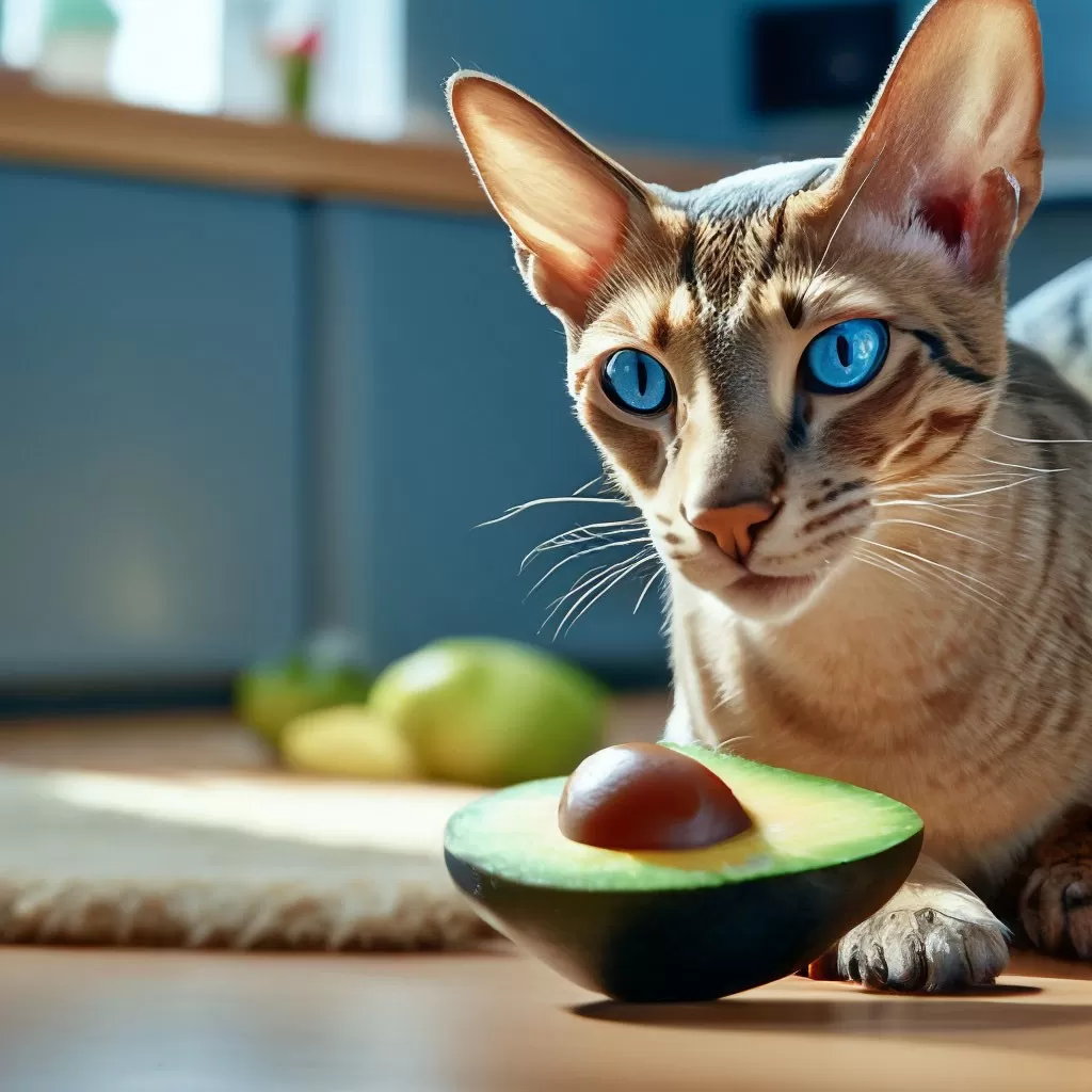 Какими продуктами нельзя кормить котов и кошек